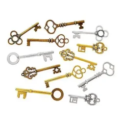 Spirit Halloween Steampunk Bag Of Keys