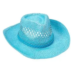 Spirit Halloween Blue Straw Cowboy Hat -Spirit Halloween Store 01573013 c