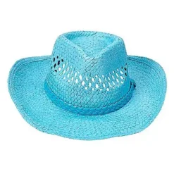 Spirit Halloween Blue Straw Cowboy Hat -Spirit Halloween Store 01573013 d