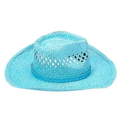 Spirit Halloween Blue Straw Cowboy Hat -Spirit Halloween Store 01573013 f