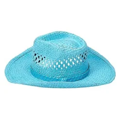 Spirit Halloween Blue Straw Cowboy Hat -Spirit Halloween Store 01573013 g