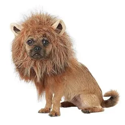 Spirit Halloween King Of The Jungle Pet Costume