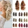 CJ Long Wavy Ponytail Clip Natural Extensions